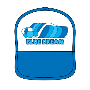 Blue Dream Hat